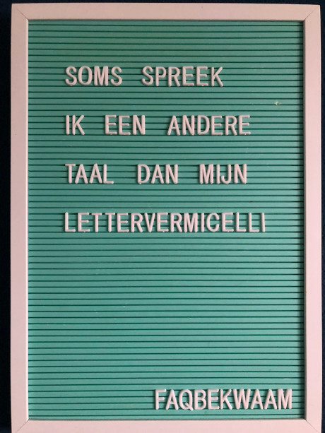 Soms spreek ik een andere taal dan mijn lettervermicelli - FAQbekwaam